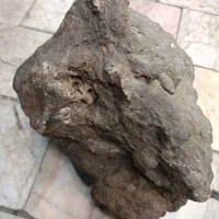 فسیل با قدمت زیاد