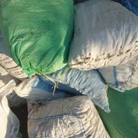 سلنگ خرمایی|لوازم جانبی حیوانات|میناب, |دیوار