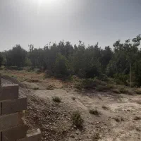 فروش-باغ-گوجه-سبز-واناردرالوسجردساوه