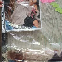 تابلو فرش طرح لیدا