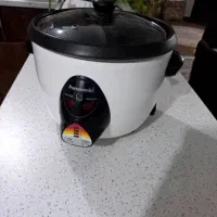 پلوپز برقی پاناسونیک