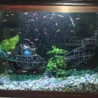 آکواریوم بزرگ