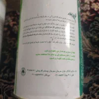 بذر خربزه مشهدی جام،ملون مشهدی جام|گل و گیاه طبیعی|جیرفت, |دیوار