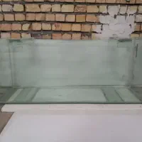 آکواریوم|ماهی|آران و بیدگل, |دیوار