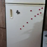 یک عدد یخچال saiwan