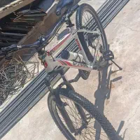دوچزخه ویوا