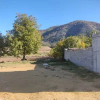 فروش زمین روستایی در منطقه گردشگری نیلبرگ