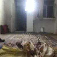 یک اتاق عیوان باسرویس احاره داده میشودشب تاصبح
