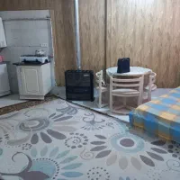 سوعیت  نقلی