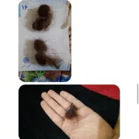 شامپو چندکاره فرانسوی