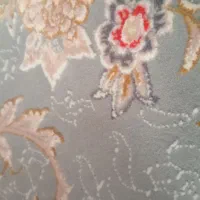 پیدا شده نیه مال اسینم نایسر