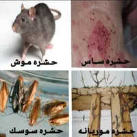 خدمات سمپاشی اهواز٪سم پاشی انواع حشرات ضمانتی