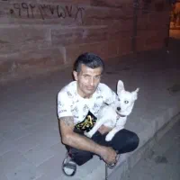 سگ گمشده