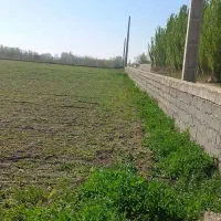 فروش زمین کشاورزی