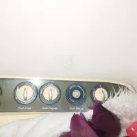 لباسشویی دو قلو LG