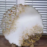 ظروف پذیرایی رزینی