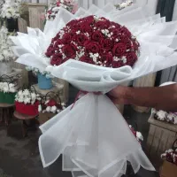 گل‌کده شقایق