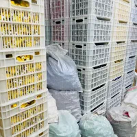 شریک شراکت سرمایه گذار تولید محصولی پر فروش|استخدام مالی، حسابداری، حقوقی|تهران, جوادیه تهرانپارس|دیوار