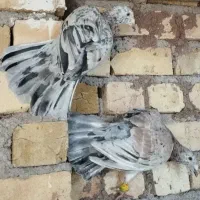 ۴۰عددکفتر پرشی