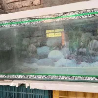 آکواریوم|ماهی|بناب, |دیوار