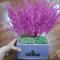 باکس گل سبد تزئینی