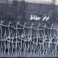 حفاظ شاخ گوزنی تولید و نصب تضمینی|خدمات پیشه و مهارت|رباط‌کریم, شهرک صنعتی ده‌حسن|دیوار