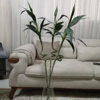 میز وصندلی تحریر ،گلدان وگل   بامبو،جاشمعی