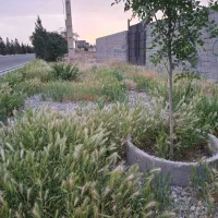 2500-متر-زمین-سنددار