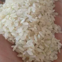 برنج کامفیروزی درجه یک