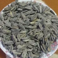 تخمه و بادم حراج