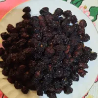 آلبالو خشک آفتابی زغال اخته آلو و گیلاس خشک افتابی|خوردنی و آشامیدنی|اندیشه, اندیشه فاز ۴|دیوار