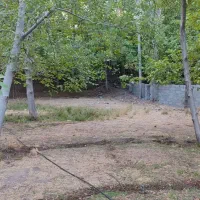 دهبکری زمین مسکونی750مترمرکز شهرمنی850میلیون|فروش زمین و ملک کلنگی|دهبکری, |دیوار