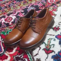 دوجفت کفش مردانه|کیف، کفش، کمربند|تبریز, |دیوار