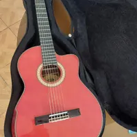 فروش گیتار washburn