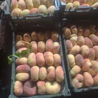 سوپرمیوه.بصورت عمده‌ انواع میوه گوجه گیلاسی.|خوردنی و آشامیدنی|بوشهر, |دیوار