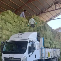 حمل بار با کامیونت|خدمات حمل و نقل|سردشت, |دیوار