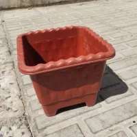 گلدان|گل و گیاه طبیعی|کرمان, |دیوار