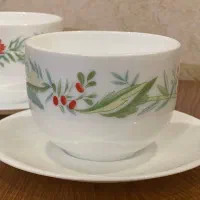 ظروف ارکوپال|ظروف سرو و پذیرایی|اصفهان, مرداویج|دیوار