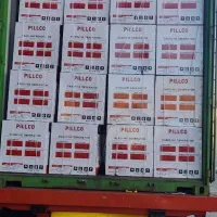 موتور برق ۸.۵ کیلو وات PILLCO 18800 CEW|ماشینآلات صنعتی|تهران, لاله زار|دیوار