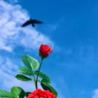 پارک نهج البلاغه