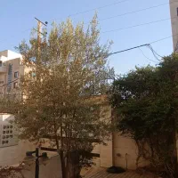 ۶۶ متر جهت نور و نما ـ فول امکانات ـ بر نماز|اجارهٔ آپارتمان|کرج, ساماندهی|دیوار