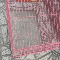 قفس پرنده|لوازم جانبی حیوانات|قدس, شهر‌قدس|دیوار