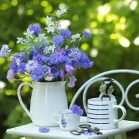 نظافت مجتمع مسکونی