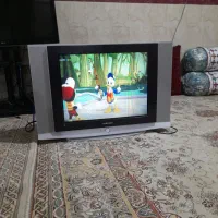 تلوزیون