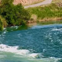 اجاره سوئیت