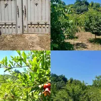 فروش زمین 900 متری روستای تیرتاش مازندران|فروش زمین و ملک کلنگی|گلوگاه, |دیوار
