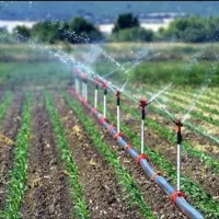 لوله ابیاری بارانی