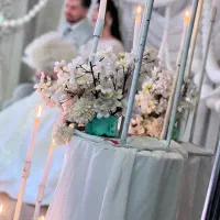 فیلم بردار عکاسی ۴ میلیون تومان