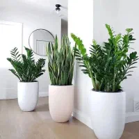 گل و گیاه (گل فروشی)