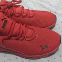 کتانی پوما سایز 40.5|کیف، کفش، کمربند|قم, شهر قائم|دیوار